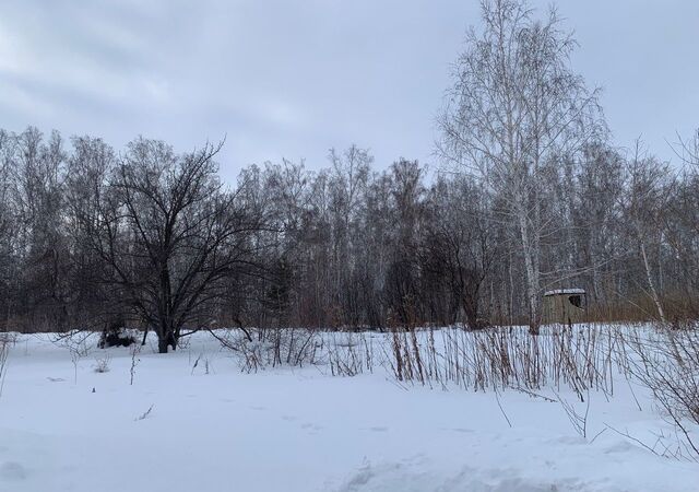 снт Южное садовое некоммерческое товарищество фото