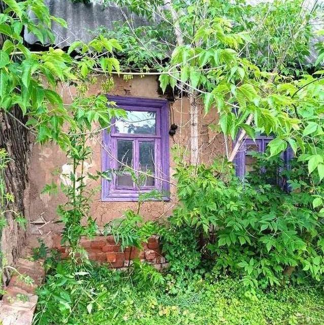 дом р-н Старооскольский с Обуховка историческая местность Халань фото 2