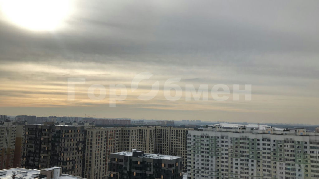 квартира г Балашиха Героев просп., 16, Новокосино фото 18