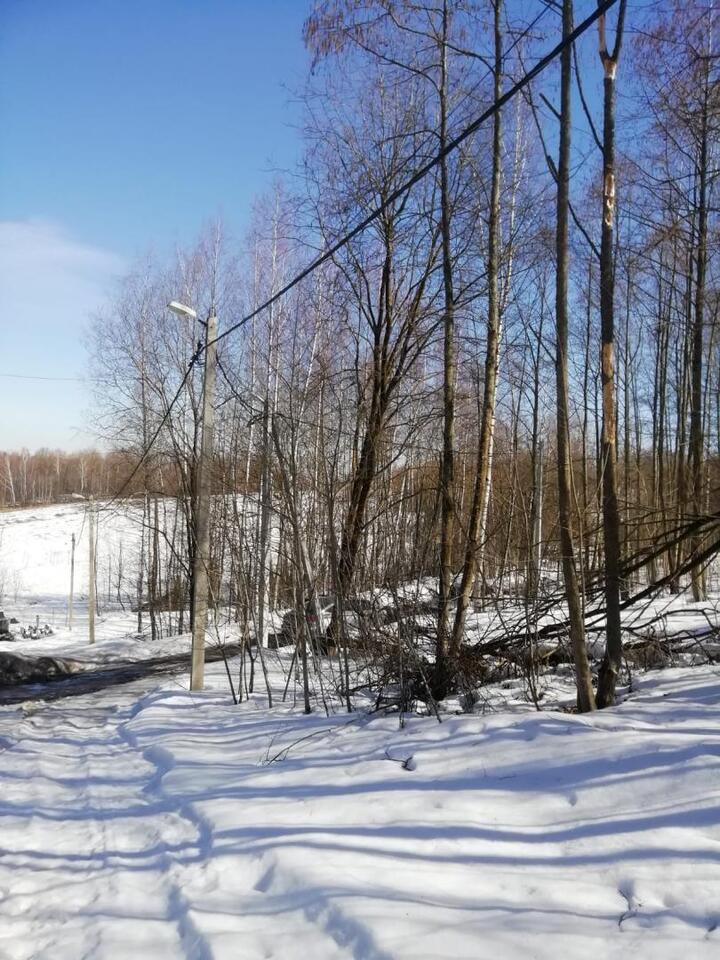 земля городской округ Дмитровский п Муханки фото 8