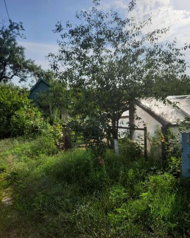 Бжедуховское сельское поселение, Великовечное фото
