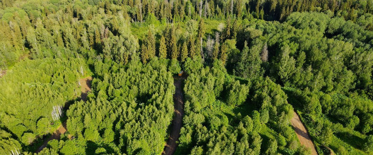 земля г Балашиха кв-л Изумрудный Дмитровский городской округ фото 4