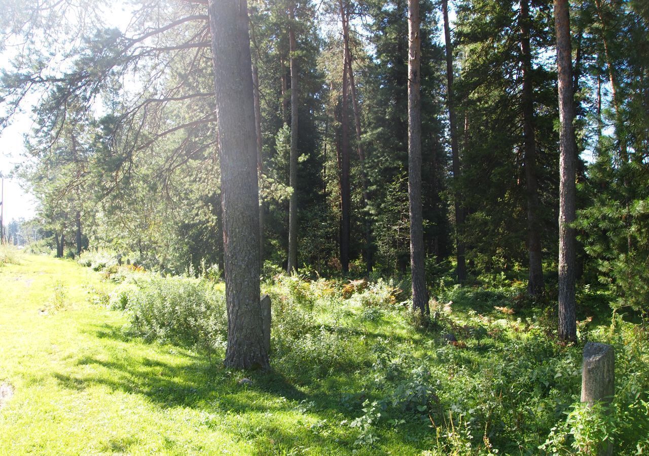 земля р-н Турочакский с Кебезень ул Береговая Турочак фото 2