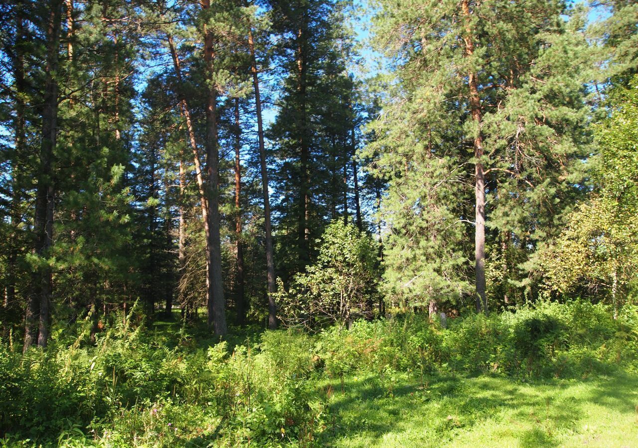 земля р-н Турочакский с Кебезень ул Береговая Турочак фото 35