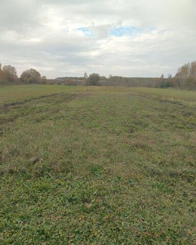 д Холопово сельское поселение село Бабынино, Бабынино фото