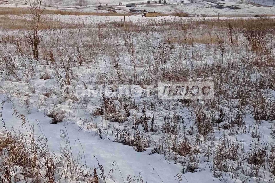 земля г Октябрьский городской округ Октябрьский, Лебединая улица фото 2