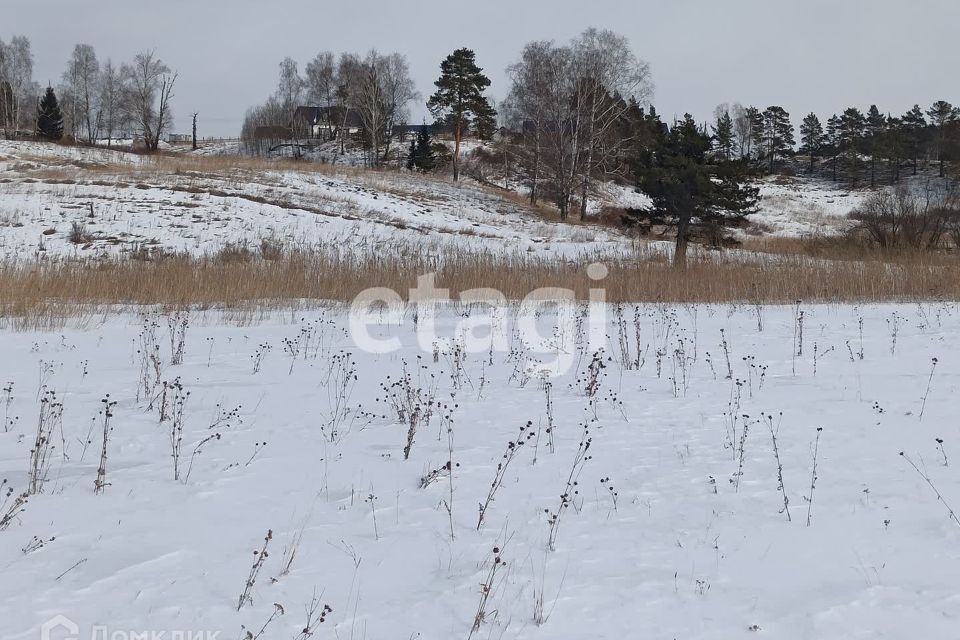 земля р-н Емельяновский деревня Крутая фото 1