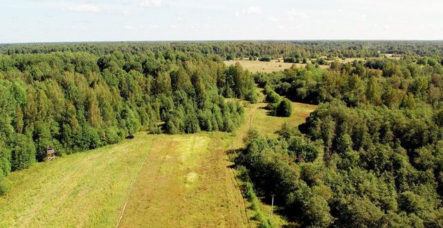 земля Трегубовское сельское поселение, Чудово фото