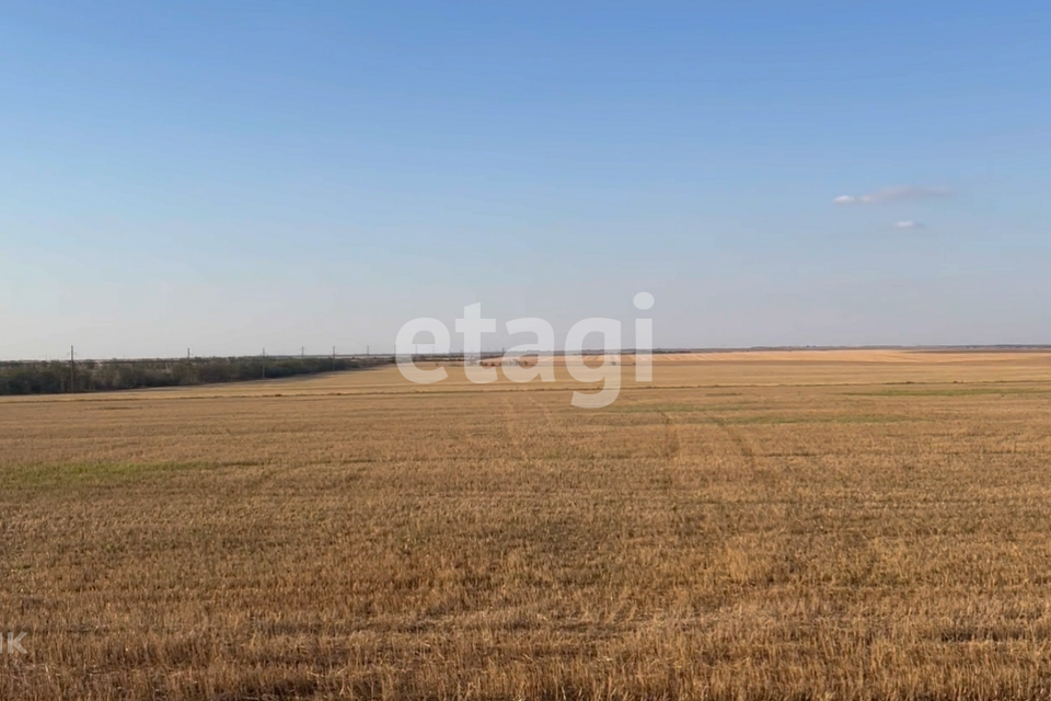 земля р-н Сакский Ромашкинское сельское поселение фото 4