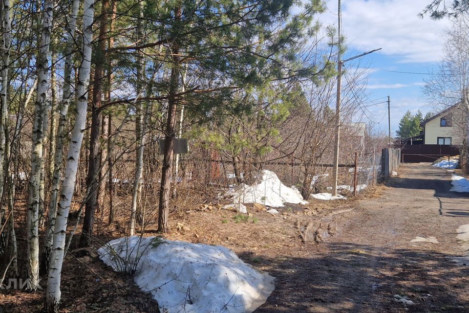 земля г Воронеж снт БОЛЬШАЯ СЕМЬЯ ул Центральная городской округ Воронеж фото 2