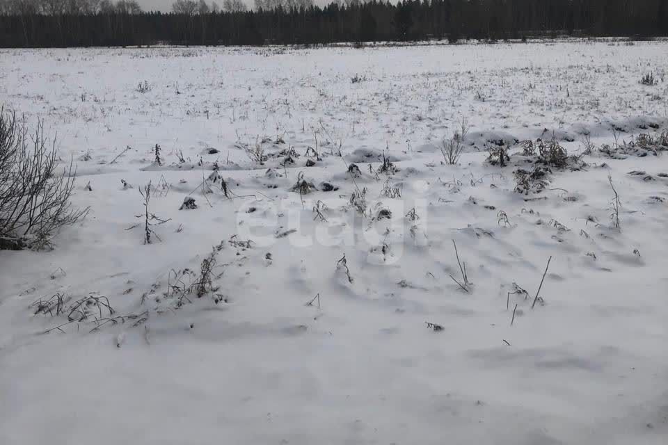 земля г Березовский п Становая Берёзовский городской округ, коттеджный посёлок Становлянка фото 3