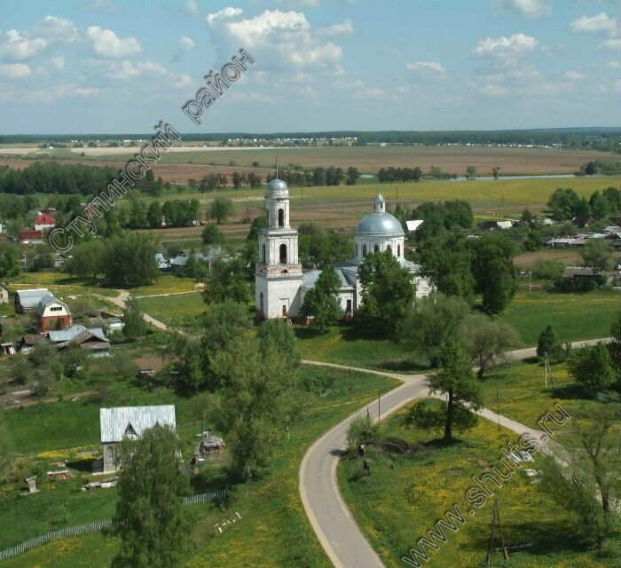 земля городской округ Ступино с Ивановское Михнево фото 9