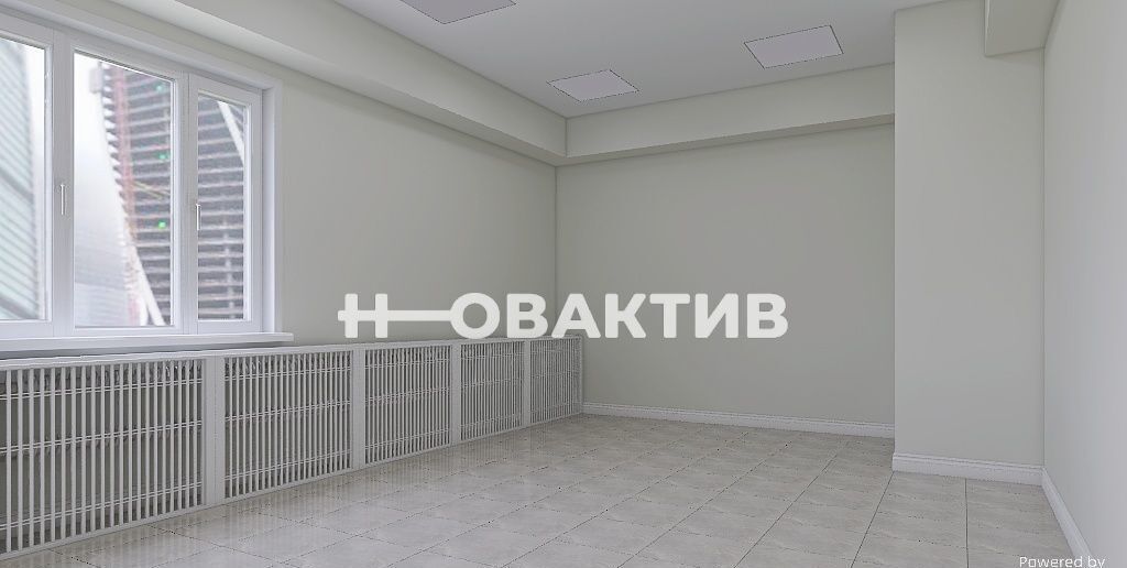 офис г Новосибирск метро Площадь Гарина-Михайловского ул Владимировская 3а фото 1