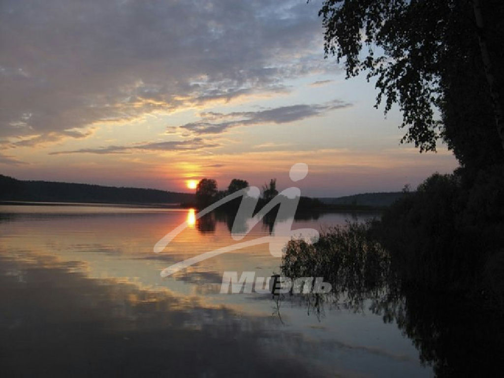 земля городской округ Рузский д Волынщино фото 15