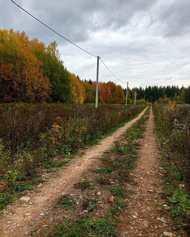 ул Центральная Пермь фото