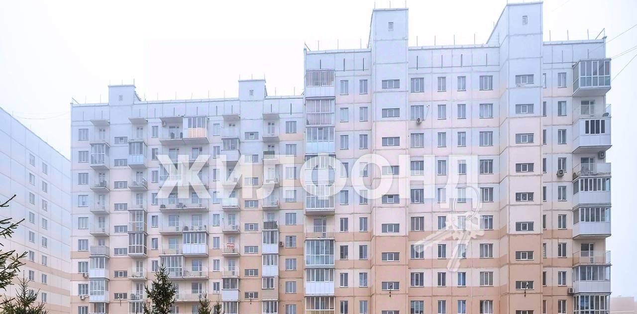квартира г Новосибирск Золотая Нива ул Виталия Потылицына 7 фото 9
