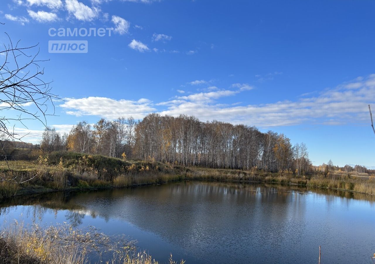 земля р-н Красноармейский с Бродокалмак Сугоякское сельское поселение, озеро Сугояк-2 фото 3