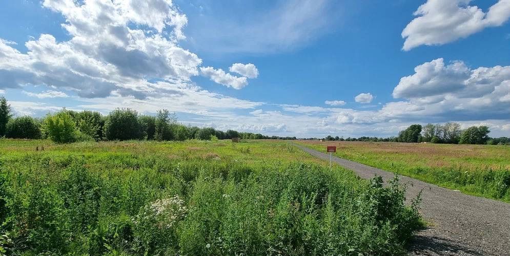 земля г Воскресенск снт Чайка 12, городской округ Воскресенск, Белоозёрский фото 1