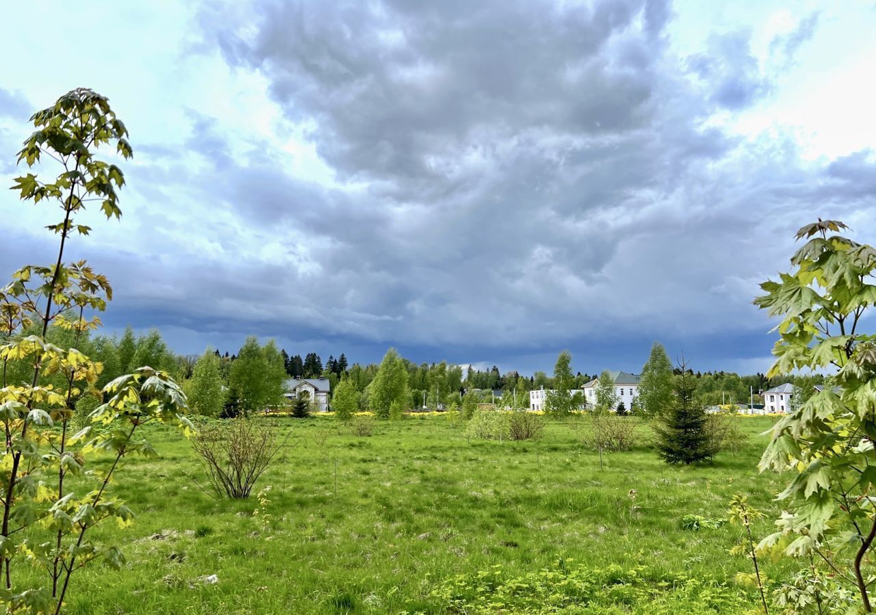 земля городской округ Мытищи д Юрьево Марфино фото 5