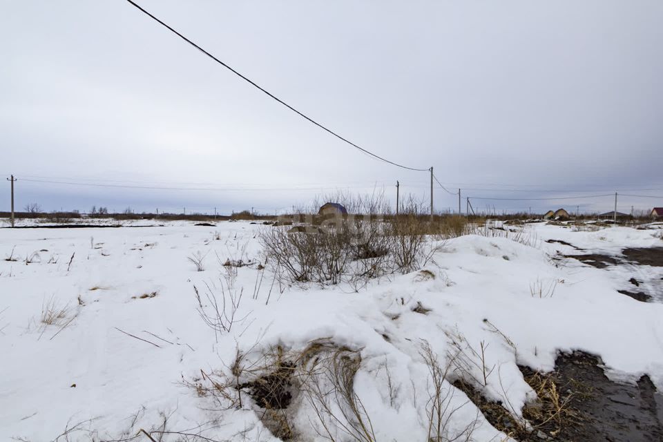 земля г Ялуторовск улица Полковникова, городской округ Ялуторовск фото 2