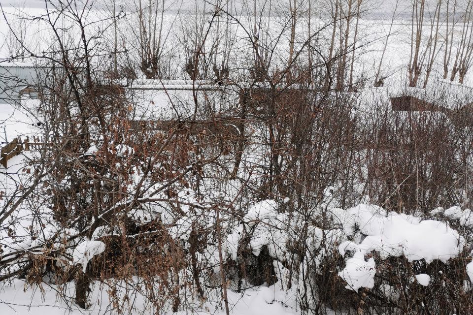 земля г Снежинск снт 3 городской округ Снежинск, 218 фото 2