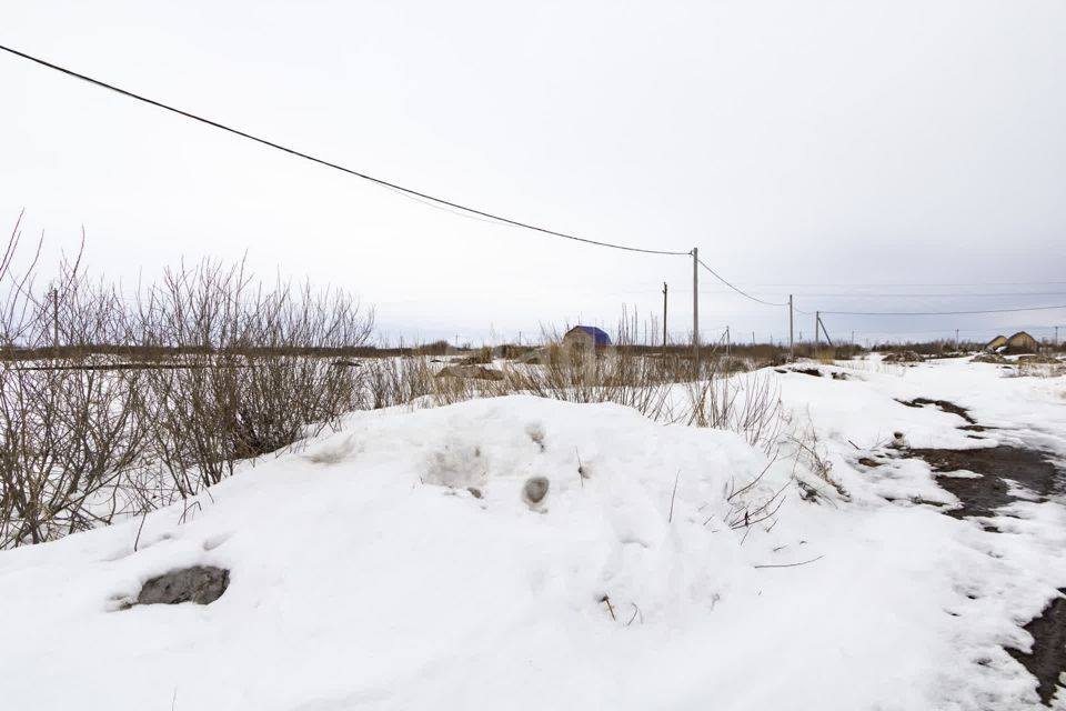 земля г Ялуторовск улица Полковникова, городской округ Ялуторовск фото 6