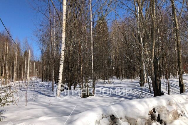 городской округ Пермь, коттеджный посёлок Бродвей, Пасечная улица фото