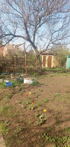 Большесальское сельское поселение, 229, садоводческое некоммерческое товарищество Дружба фото