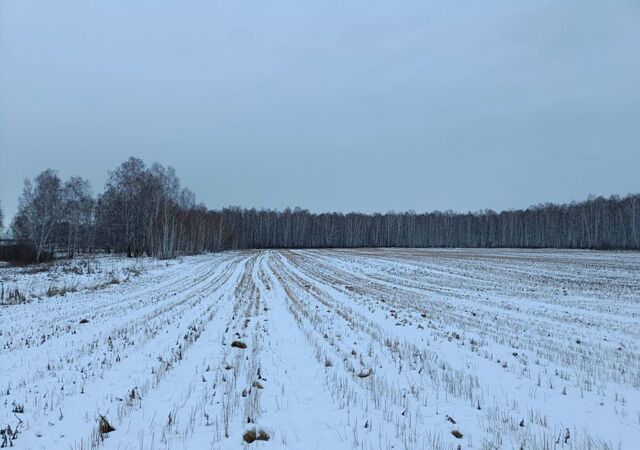 земля Рощинское сельское поселение, мкр-н Славино, Челябинск фото