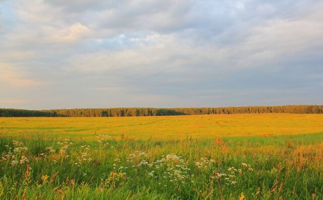 с Сапеево Азнакаево фото