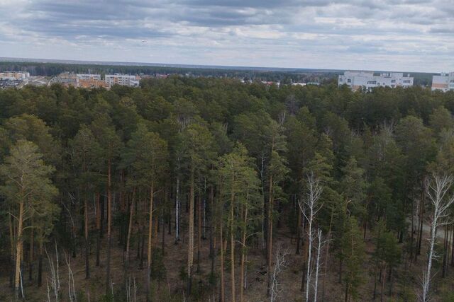 городской округ Снежинск фото