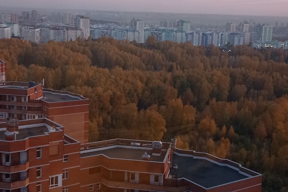 квартира г Новосибирск ул В.Высоцкого 43 городской округ Новосибирск фото 5