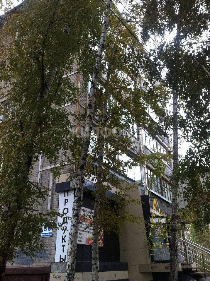 квартира г Новосибирск пр-кт Красный 90 Гагаринская фото 20