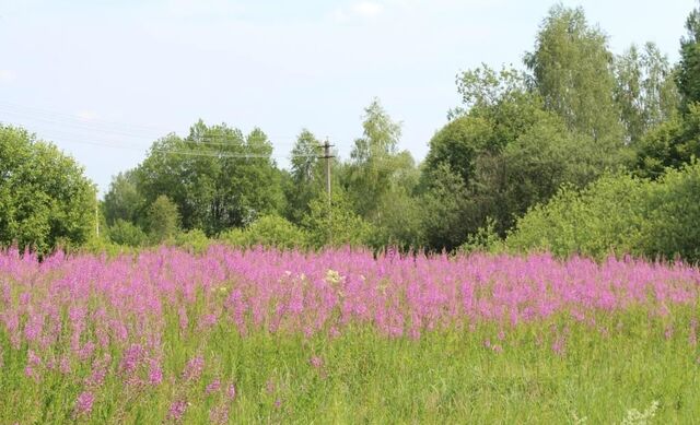 37, Волоколамский г. о., Волоколамск фото