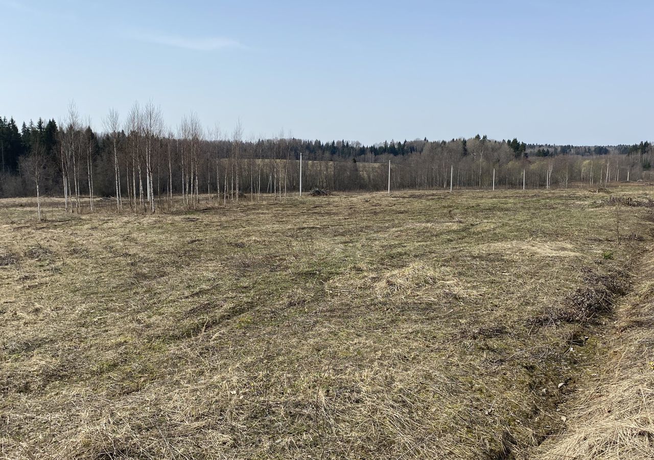 земля городской округ Шаховская садовое некоммерческое товарищество Светлая Роща фото 3