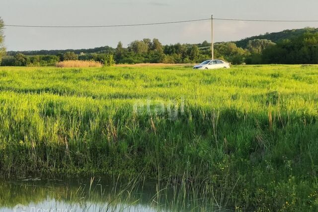 село Шопино фото