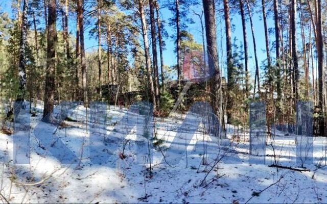 ул Лесная городской округ Красноярск фото