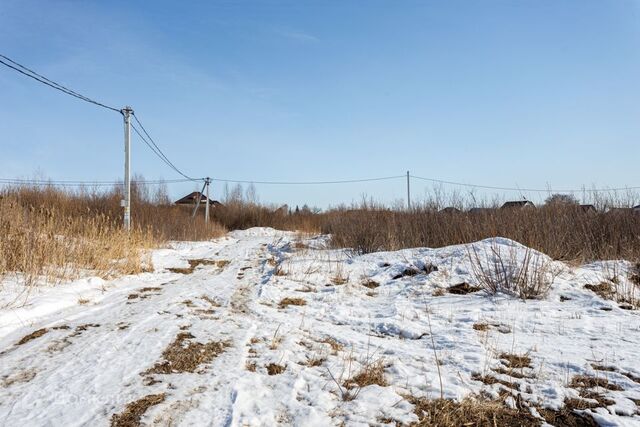 земля городской округ Тюмень фото