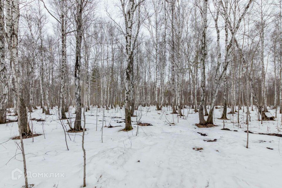 земля г Тюмень ул Рублевская городской округ Тюмень фото 7