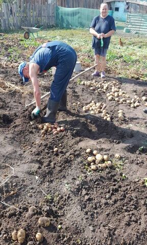 снт тер.Сады Приобья Кубовинский сельсовет, 4-я ул, Колывань фото