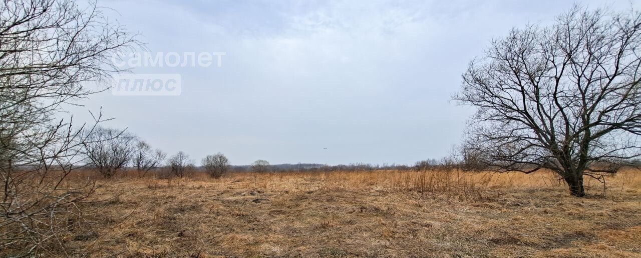 земля р-н Хабаровский с Тополево Тополевское сельское поселение, Хабаровск фото 2