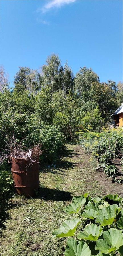 земля г Саяногорск снт Березовая роща садоводческое товарищество фото 11