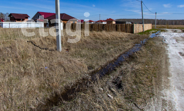 садовое товарищество Нива, городской округ Новосибирск фото