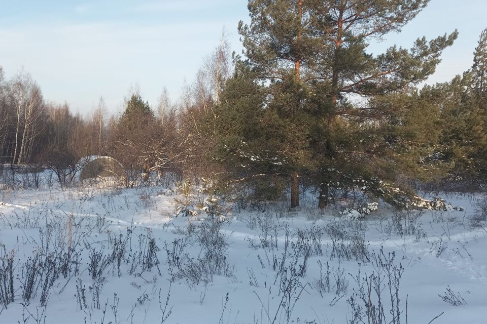 земля р-н Высокогорский садоводческое товарищество Заря фото 4