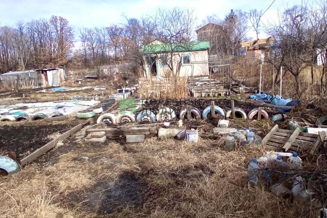 земля пл Ленина городской округ Благовещенск фото