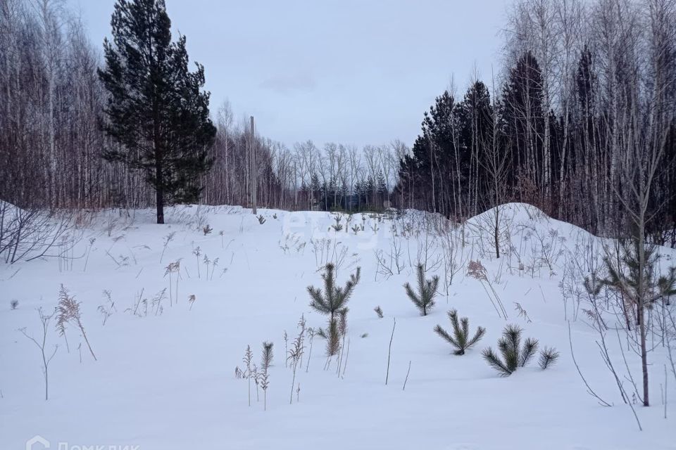 земля р-н Новосибирский Садоводческое некоммерческое товарищество Град фото 1