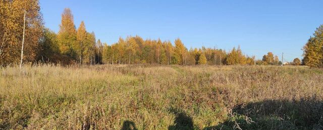 Хохловское сельское поселение, Смоленск фото