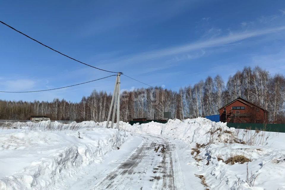 земля р-н Новосибирский посёлок Клюквенный, СНТ Озёрное фото 6