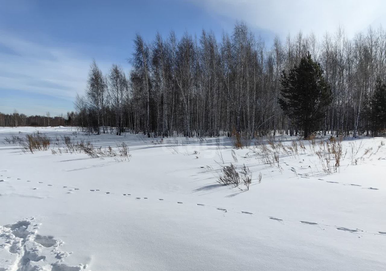 земля г Новосибирск р-н Калининский фото 2