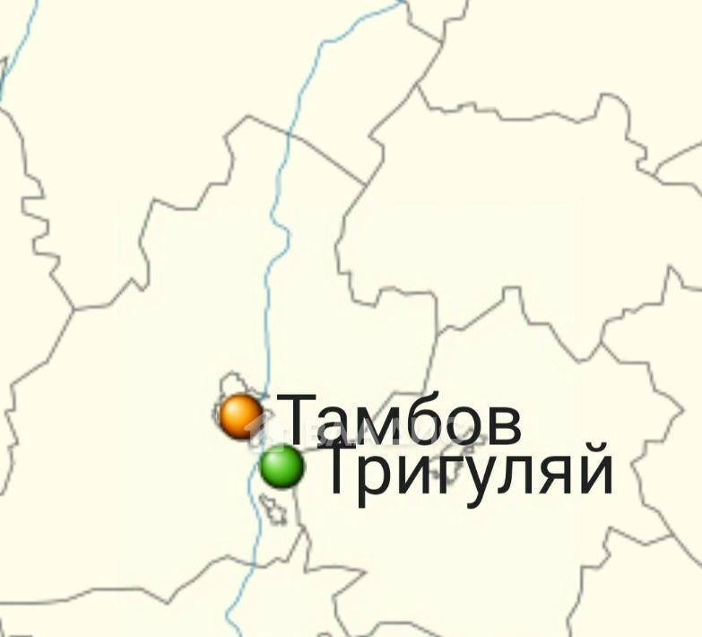 земля р-н Тамбовский п Тригуляй 126А, Тамбов городской округ фото 4